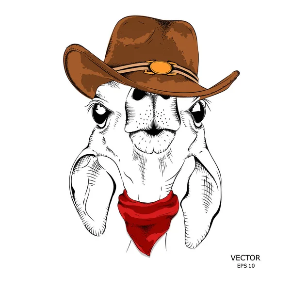 A deer in a cowboy hat. vector illustration — Stock Vector
