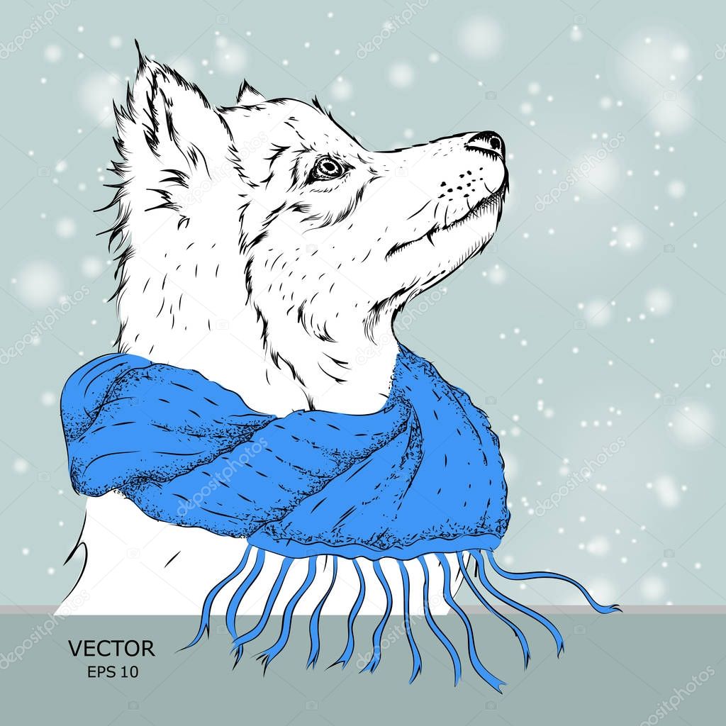 The christmas poster with the dog portrait in winter scarf. Vector illustration.