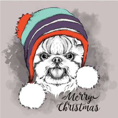 Noel poster kış şapka görüntü köpek portre ile. Vektör çizim.