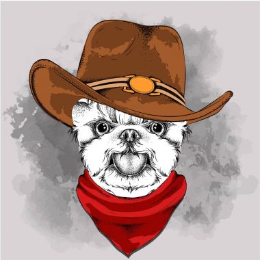 kovboy şapkası bir köpek. Yorkshire korkunç. Vektör çizim