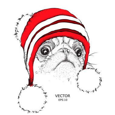 Noel poster kış şapka görüntü köpek portre ile. Vektör çizim.