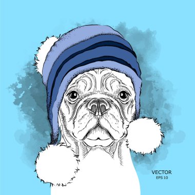 Noel poster kış şapka görüntü köpek portre ile. Vektör çizim.