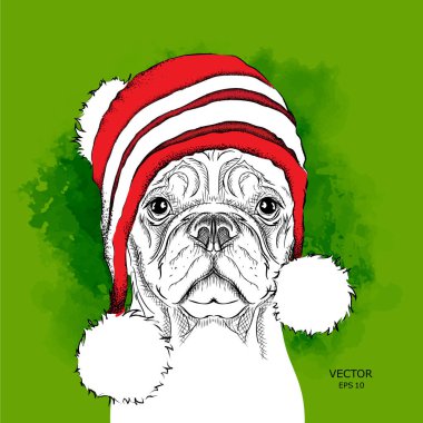 Noel poster kış şapka görüntü köpek portre ile. Vektör çizim.