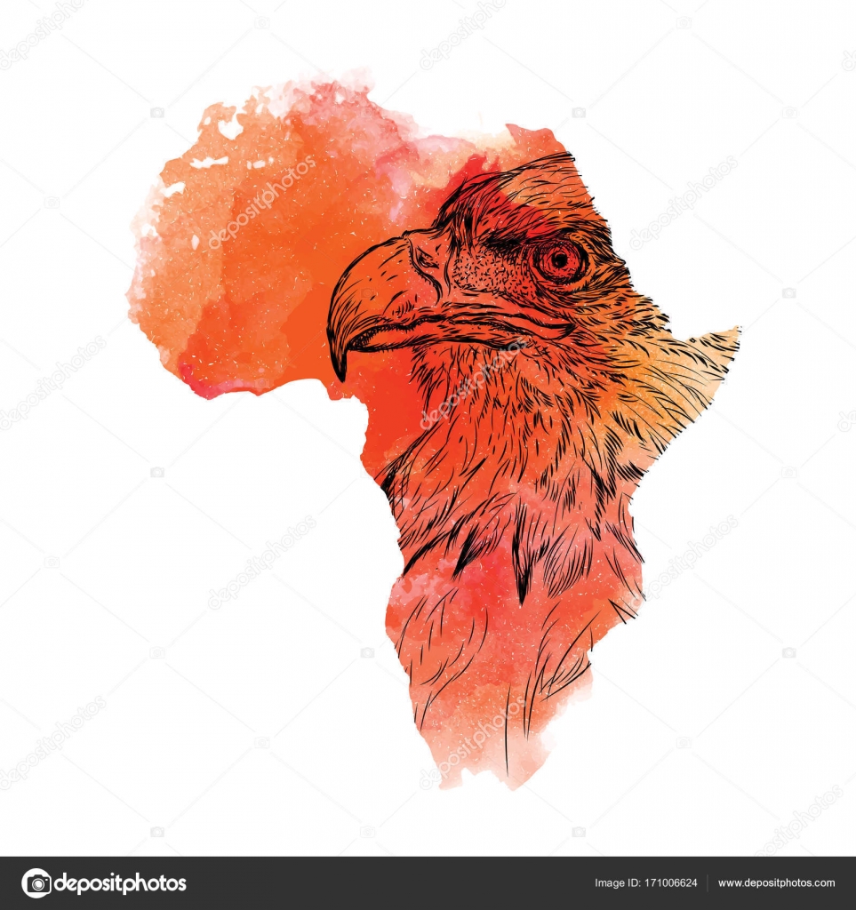 Etnica mano disegno testa di Aquila nella mappa vettoriale dell Africa Illustrazione di vettore