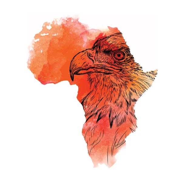 Mão étnica desenhando cabeça de águia no mapa vetorial da África. Ilustração vetorial. Fundo abstrato com manchas de aquarela — Vetor de Stock