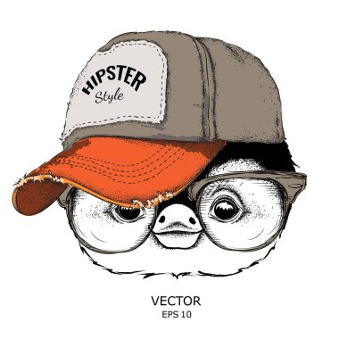 Poster ile görüntü penguen portre hip-hop şapkalı. Vektör çizim.