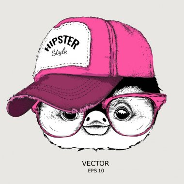 Poster ile görüntü penguen portre hip-hop şapkalı. Vektör çizim.