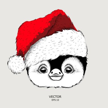 Penguen Noel Baba şapkalı. Vektör çizim