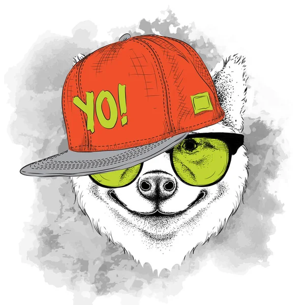 Affiche Portrait Chien Sakita Inu Chapeau Hip Hop Illustration Vectorielle — Image vectorielle