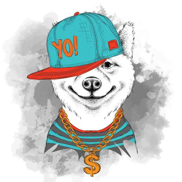 Poster Van Het Sakita Inu Hond Portret Hip Hop Hoed — Stockvector