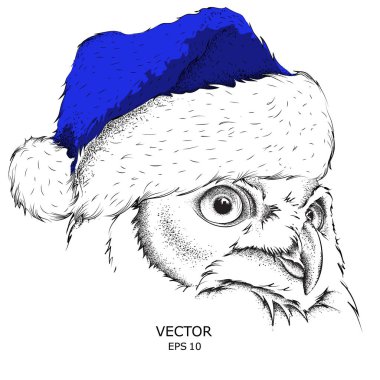 Noel poster ile görüntü baykuş portre Noel Baba'nın şapkalı. Vektör çizim.