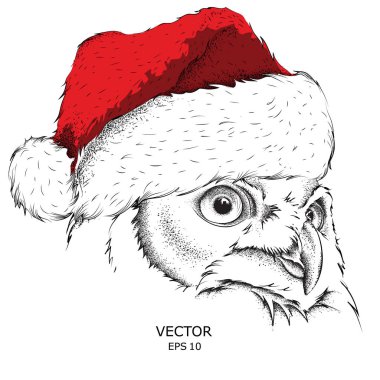 Noel poster ile görüntü baykuş portre Noel Baba'nın şapkalı. Vektör çizim.