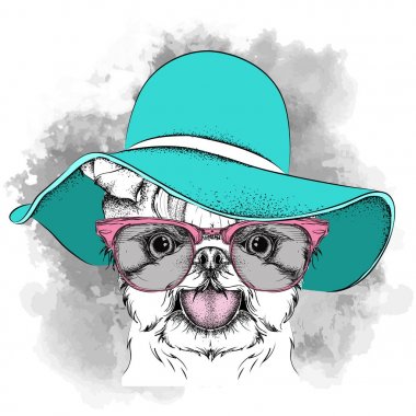 Şapkalı kız köpek yavrusu. Yorkshire korkunç. Vektör çizim