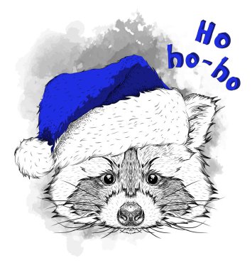 Noel poster ile görüntü Rakun portre Noel Baba'nın şapkalı. El çizmek vektör çizim.