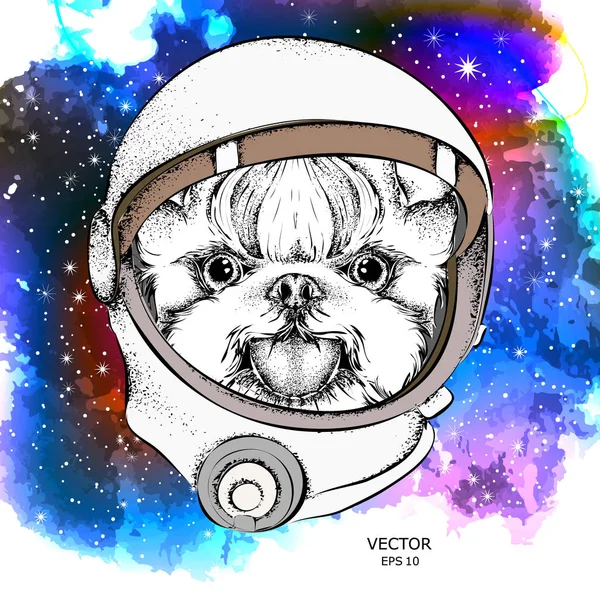 Kreslený Psa Jeden Astronaut Skafandr Postava Prostoru Vektorové Ilustrace — Stockový vektor