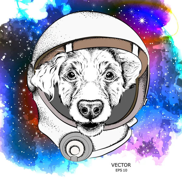 Kreslený film kokršpaněl v jeden astronaut skafandr. Postava v prostoru. Vektorové ilustrace — Stockový vektor