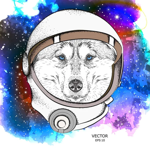 Kreslený husky v jeden astronaut skafandr. Postava v prostoru. Vektorové ilustrace — Stockový vektor