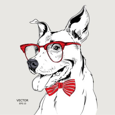 Görüntü portre bulldog kravat ve gözlüklü. Vektör çizim.