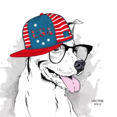 Köpek bardaklarda, kulaklık ve hip-hop şapkalı Illustration ABD baskı ile. Vektör çizim.