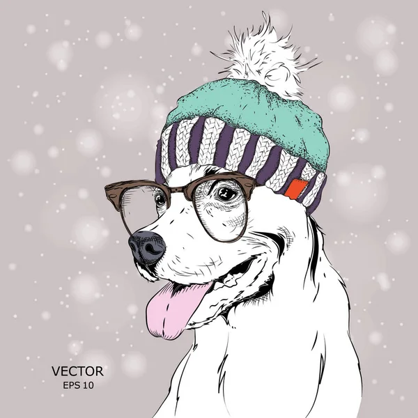 Αφίσα Σκύλο Πορτρέτο Εικόνα Στο Χειμερινό Καπέλο Εικονογράφηση Διάνυσμα — Διανυσματικό Αρχείο