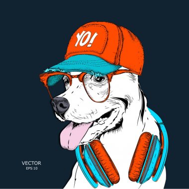 Köpek bardaklarda, kulaklık ve hip-hop şapkalı görüntüsü. Vektör çizim.