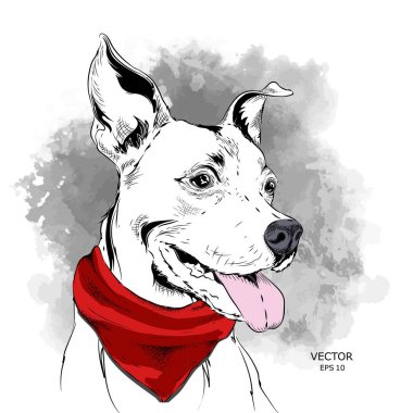 Kovboy şapkalı bir köpek. vektör illüstrasyonu