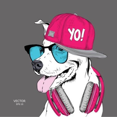 Köpek bardaklarda, kulaklık ve hip-hop şapkalı görüntüsü. Vektör çizim.