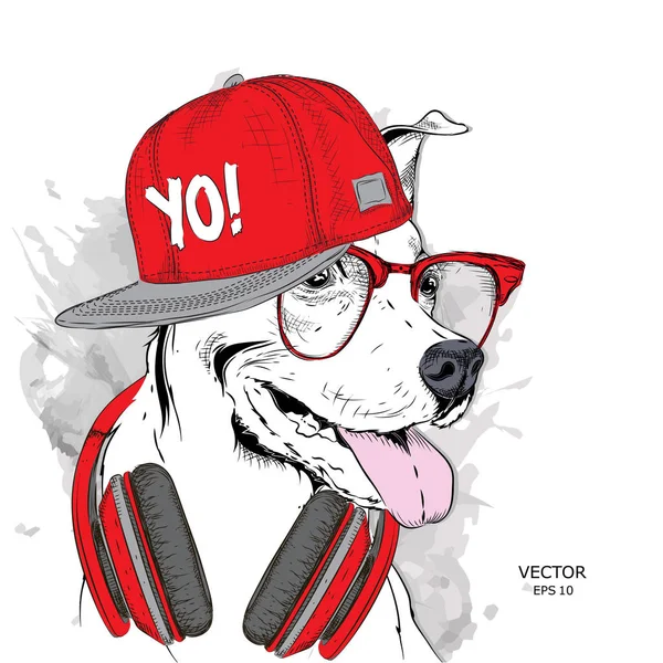 Зображення Собаки Окулярах Навушниках Хіп Хоп Капелюсі Векторні Ілюстрації — стоковий вектор