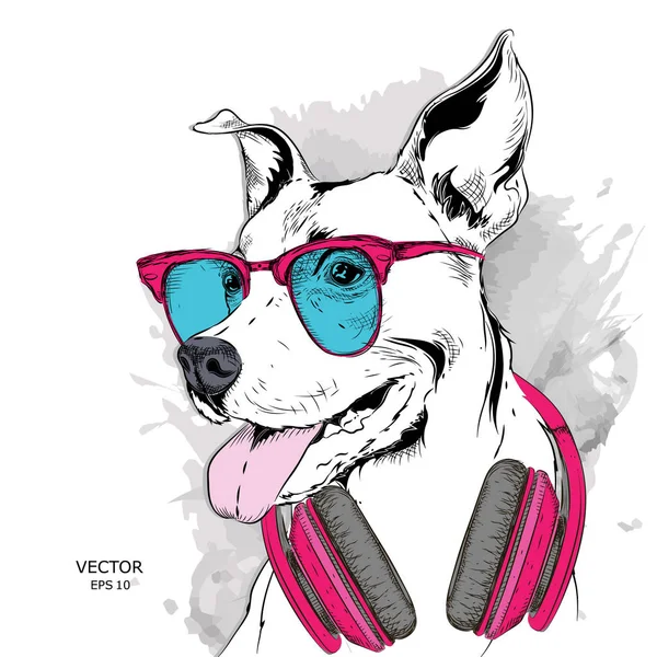 Póster Del Retrato Perro Sombrero Hip Hop Con Auriculares Ilustración — Vector de stock