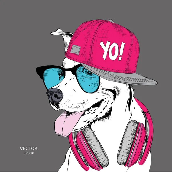 Imagem Cão Nos Óculos Fones Ouvido Chapéu Hip Hop Ilustração —  Vetores de Stock