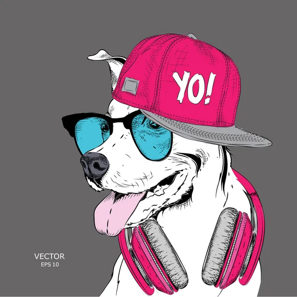 Het Beeld Van Hond Glazen Hoofdtelefoons Hip Hop Hoed Vectorillustratie — Stockvector