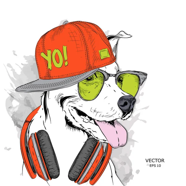 Immagine Del Cane Negli Occhiali Cuffie Cappello Hip Hop Illustrazione — Vettoriale Stock