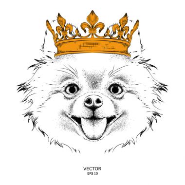 El taç görüntü portre köpek çizin. El çizmek vektör çizim