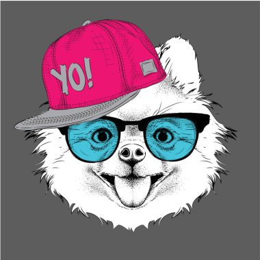 Poster ile görüntü köpek portre hip-hop şapkalı. Chihuahua vektör çizim