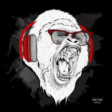 Goriller bir sürü lideri. Agresif maymun. Vektör çizim