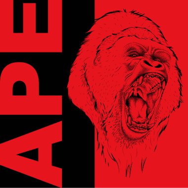 Drawing of a Ape's head. Leader of a pack of gorillas. Aggressive monkey. Graphic design of the cover. Template for design. Vector illustration clipart