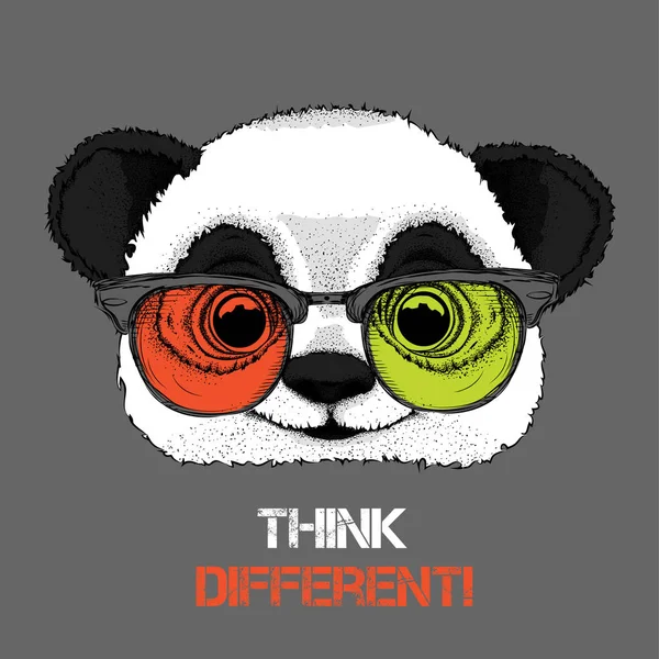 Portrait Panda Colored Glasses Think Different Vector Illustration — Stock Vector