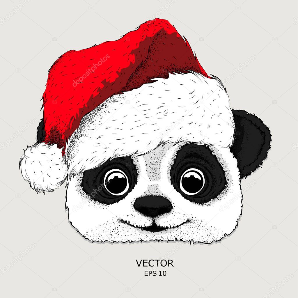 The christmas poster with the image panda portrait in Santa's hat. Hand draw vector illustration.