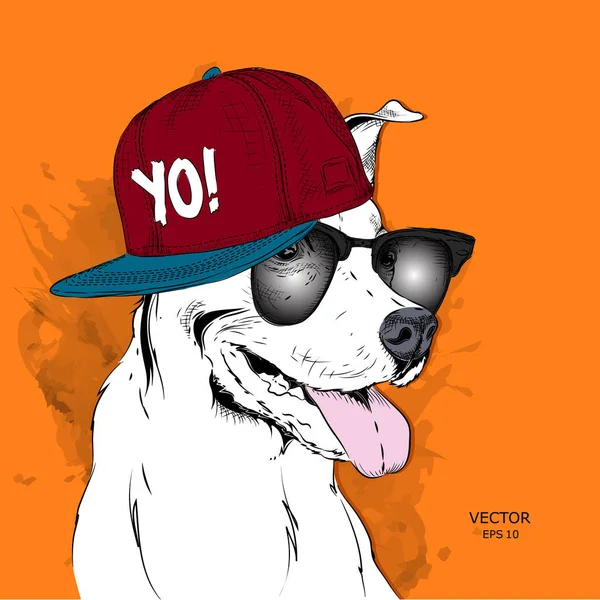 Imagen Del Perro Las Gafas Sombrero Hip Hop Ilustración Vectorial — Archivo Imágenes Vectoriales