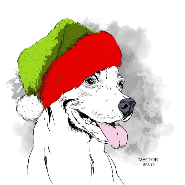 Vánoční Plakát Obraz Portrét Psa Santa Klobouk Ruční Kreslení Vektorové — Stockový vektor