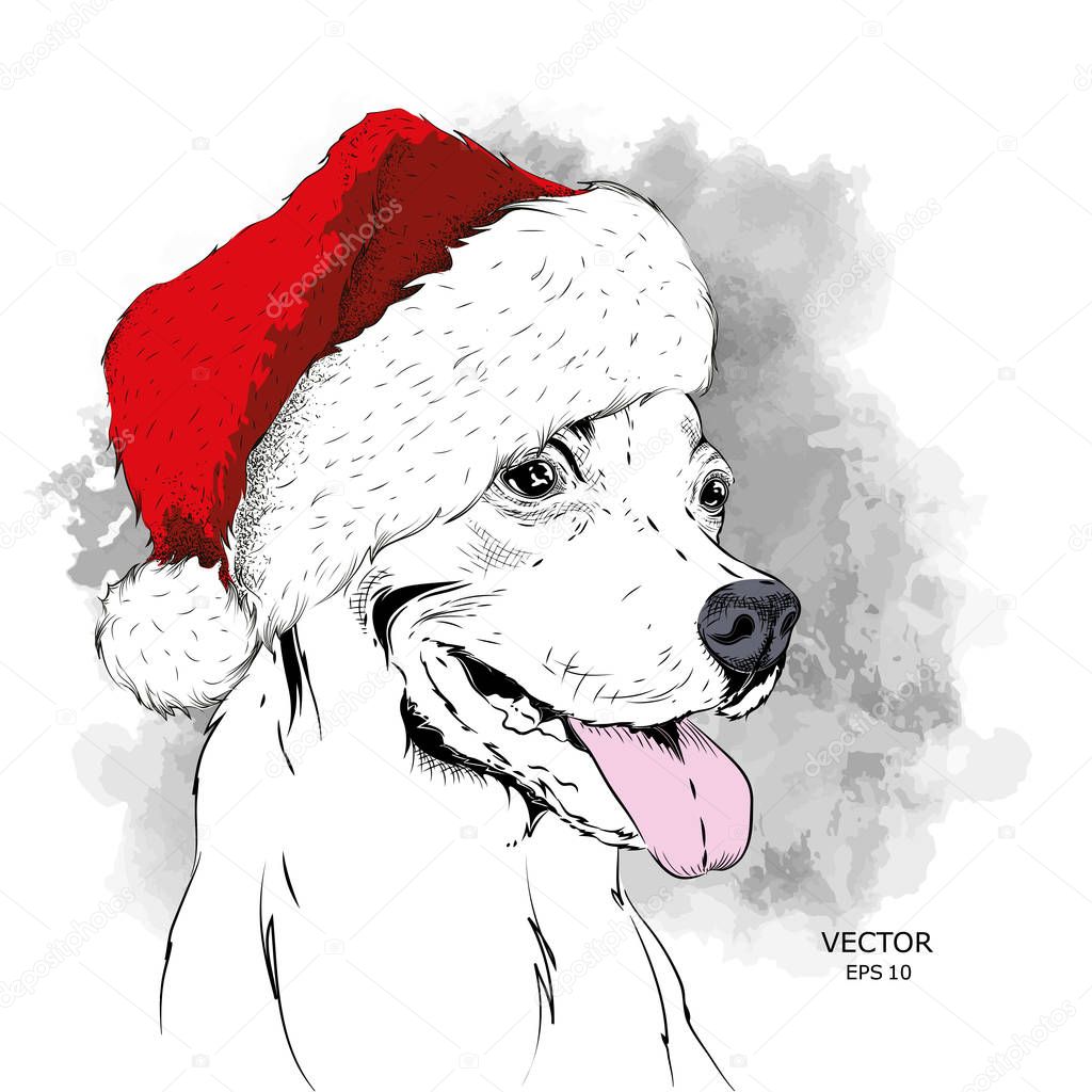 The christmas poster with the image dog portrait in Santa's hat. Hand draw vector illustration.