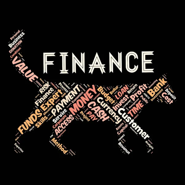 Words Cloud Finance Background — Stock Photo, Image