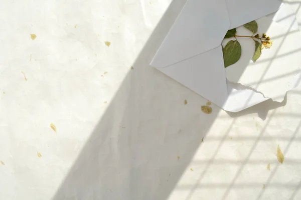 Flat lay Wedding, Holiday, doğum günü davetiyesi fotokopi alanı ile aynı. Günışığı ve gölge konsepti.