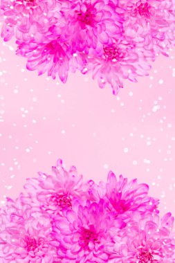 Pembe arka planda parlak ışığı olan mor çiçekler. Metin için alanı olan ağ için şablon tasarla.