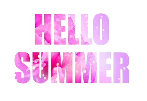Ciao Summer. Bella scritta floreale, testo isolato su bianco. Fioritura texture fiore di crisantemo. Viola, modello blu — Foto Stock