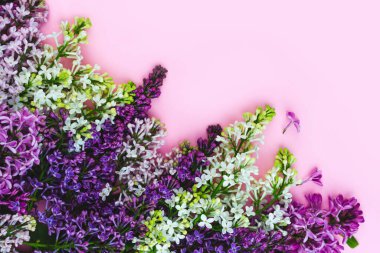 Parlak pembe arka planda açan mor ve beyaz çiçekler. Yaz, bahar konsepti kompozisyon afişi. Çiçek yeşili çerçeve. Doğal sınır düzlüğü deseni. Metin için tasarım şablonu, boşluk