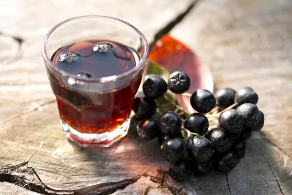 Egy pohár chokeberry (Aronia) tinktúra (gyógykivonat). — Stock Fotó