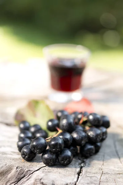 Egy pohár chokeberry (Aronia) tinktúra (gyógykivonat). — Stock Fotó