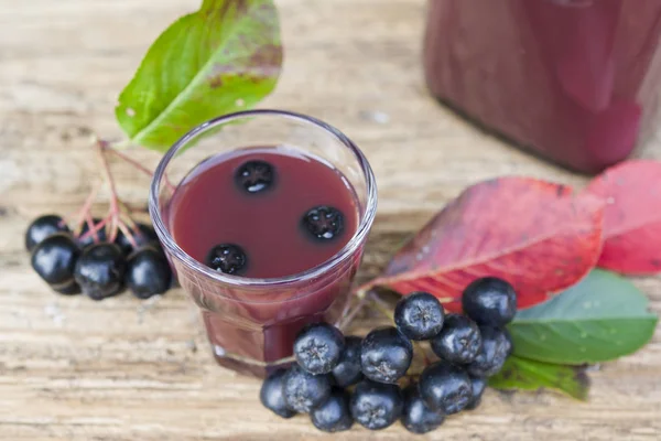 Egy pohár chokeberry (Aronia) tinktúra (gyógykivonat). — Stock Fotó