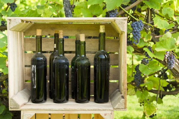 Eski fotoğrafı asma arka planı ev yapımı şarap şişe.